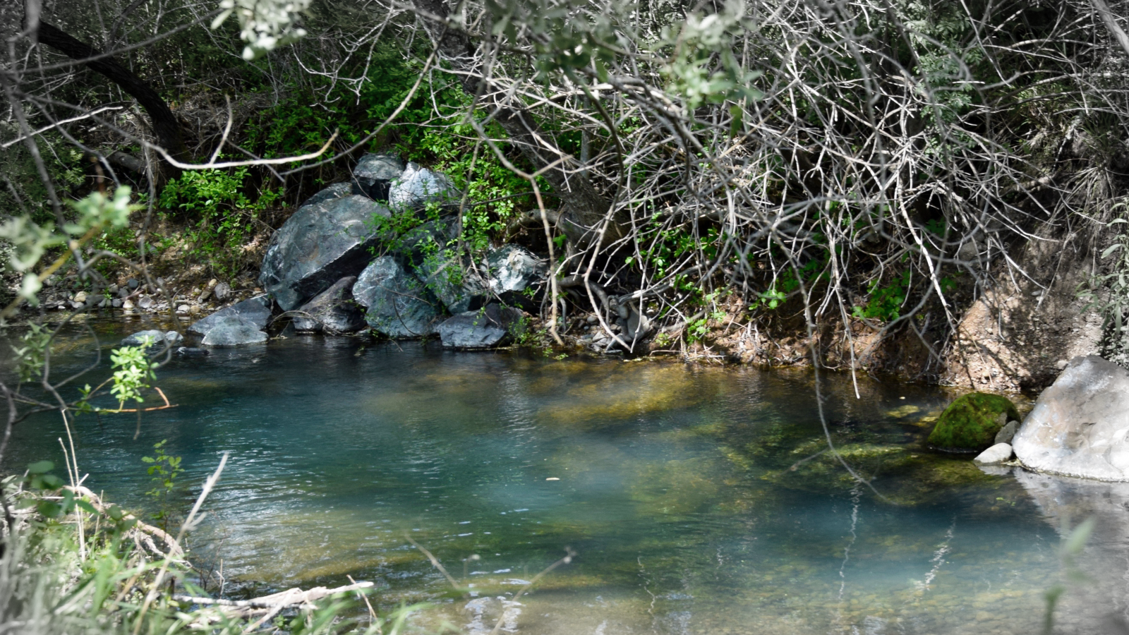 Partnerships Help Restore the Napa River