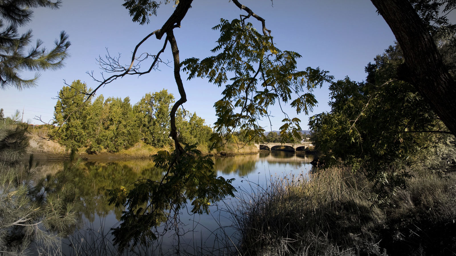 1998: Napa River is Impaired