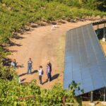 Solar Panels Workshop