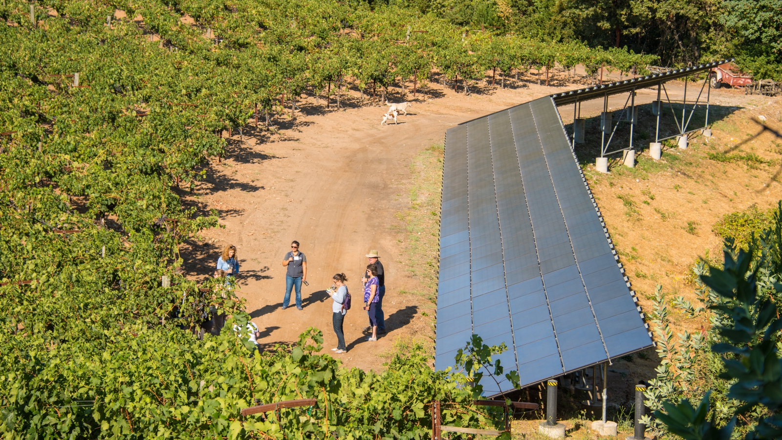 Are You Leveraging Your Sustainability Certification?