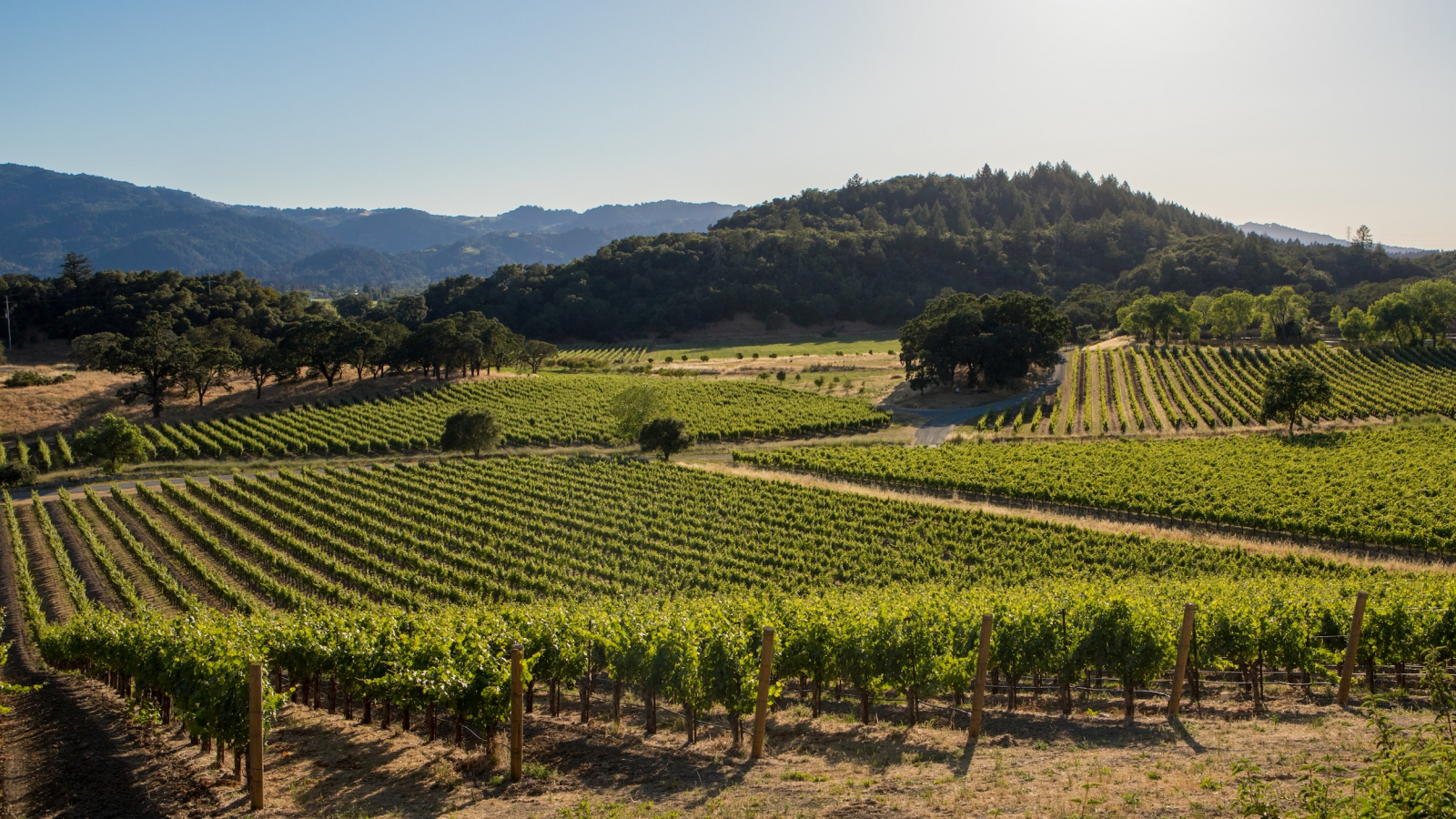 Save Water, Save Money, Maximize Quality