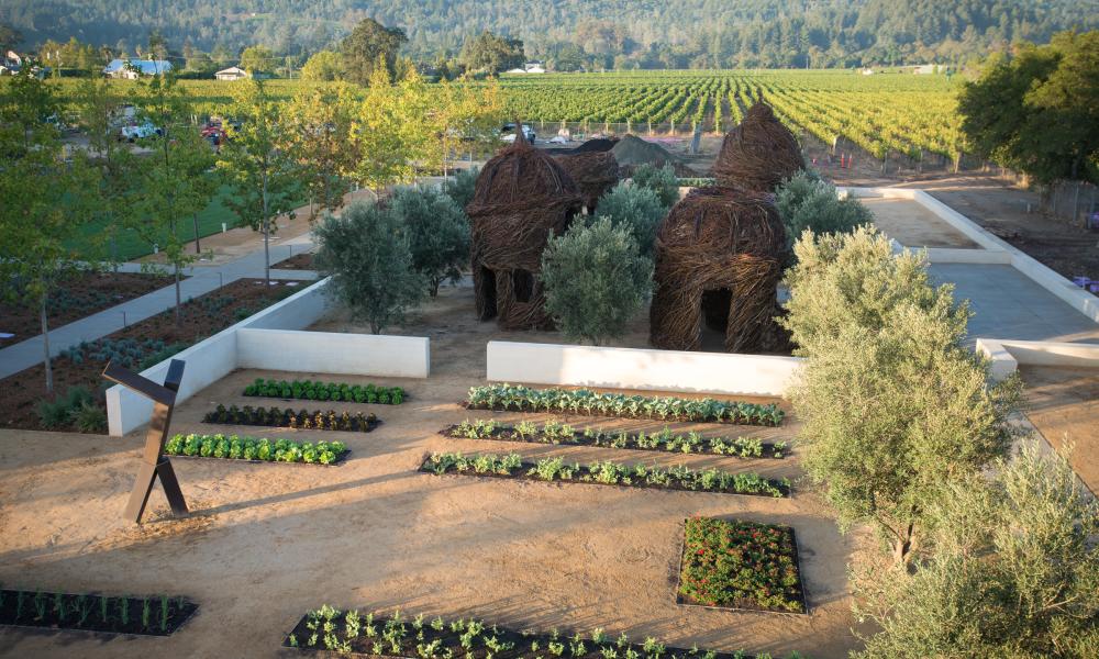 Green & Clean: Sustainable Wineries in the Napa Valley