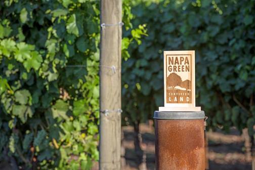 Napa Green Land Helps Property Owners Satisfy New Erosion Control Rule