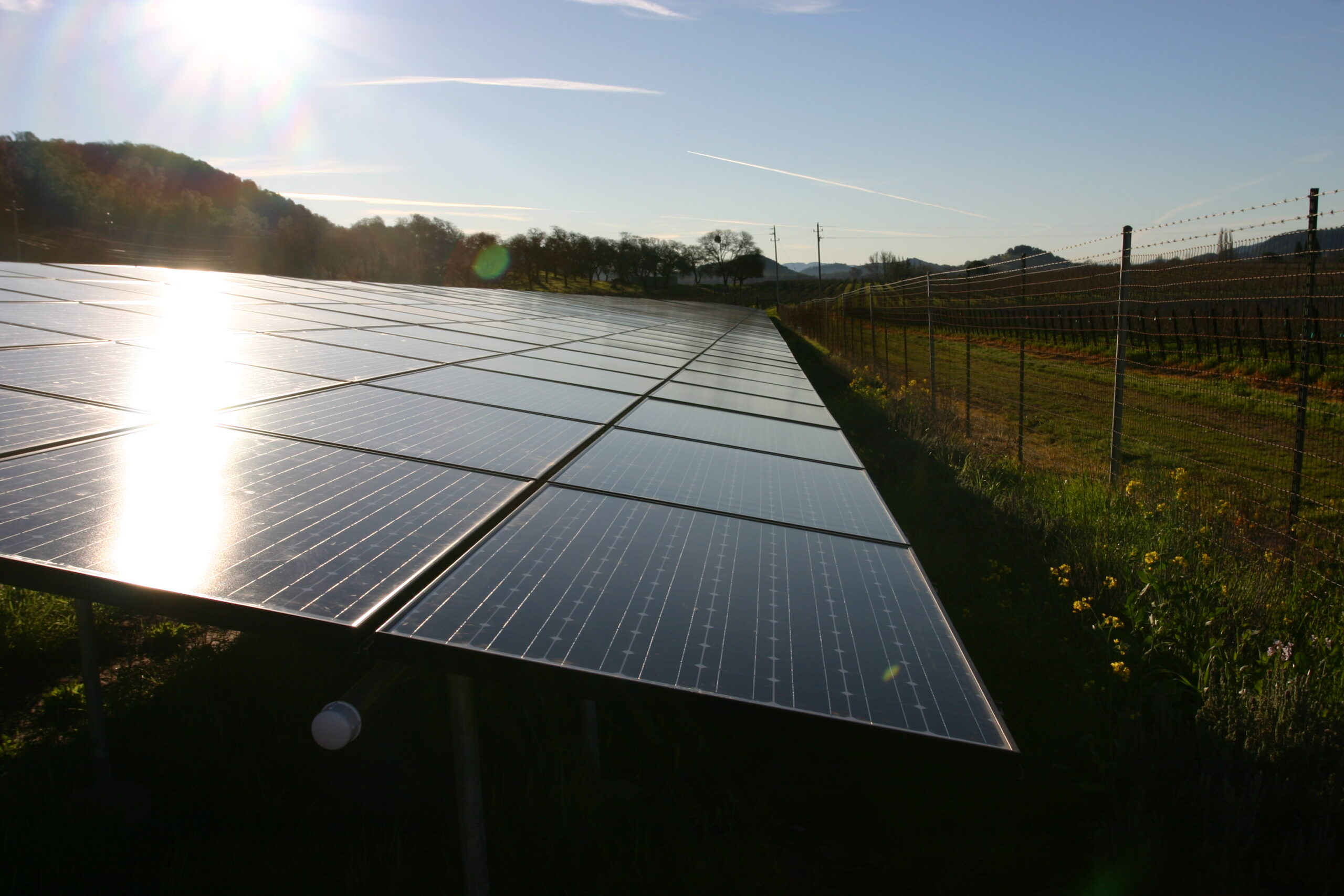 Maximizing Energy Efficiency, Saving Money, and Cutting Carbon Footprint – Views of Anna Brittain (NAPA GREEN)