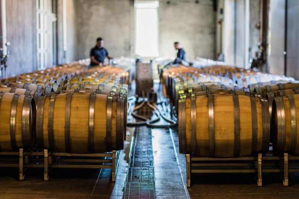 Napa Green certification: What’s it take for a winery or vineyard to get it?