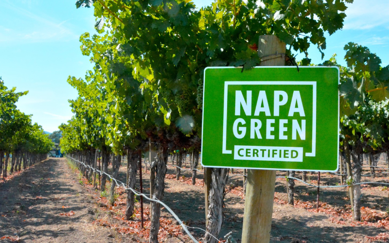 Napa businesses join international Sustainable Wine Roundtable as founding members