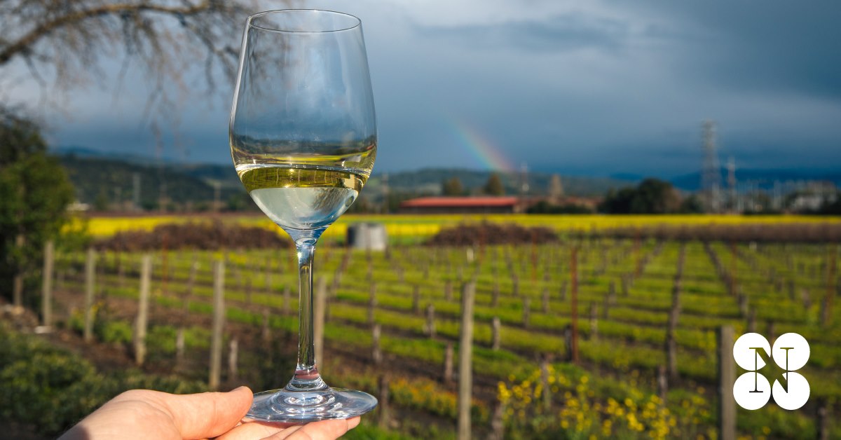 Ask the Vintners: Questions about Napa Green