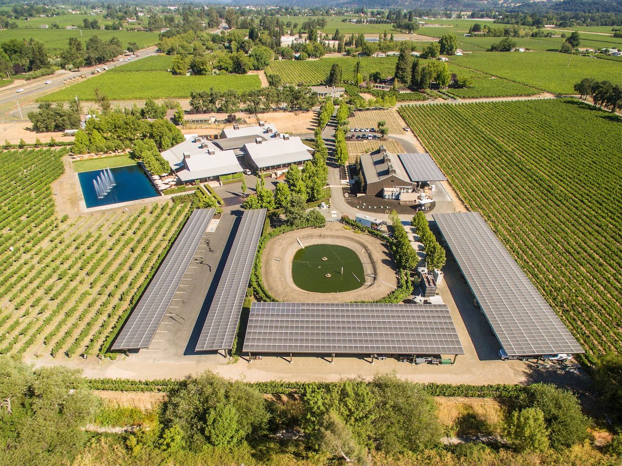 Keeping Napa Green: Toasting Napa Valley’s Sustainable Wineries