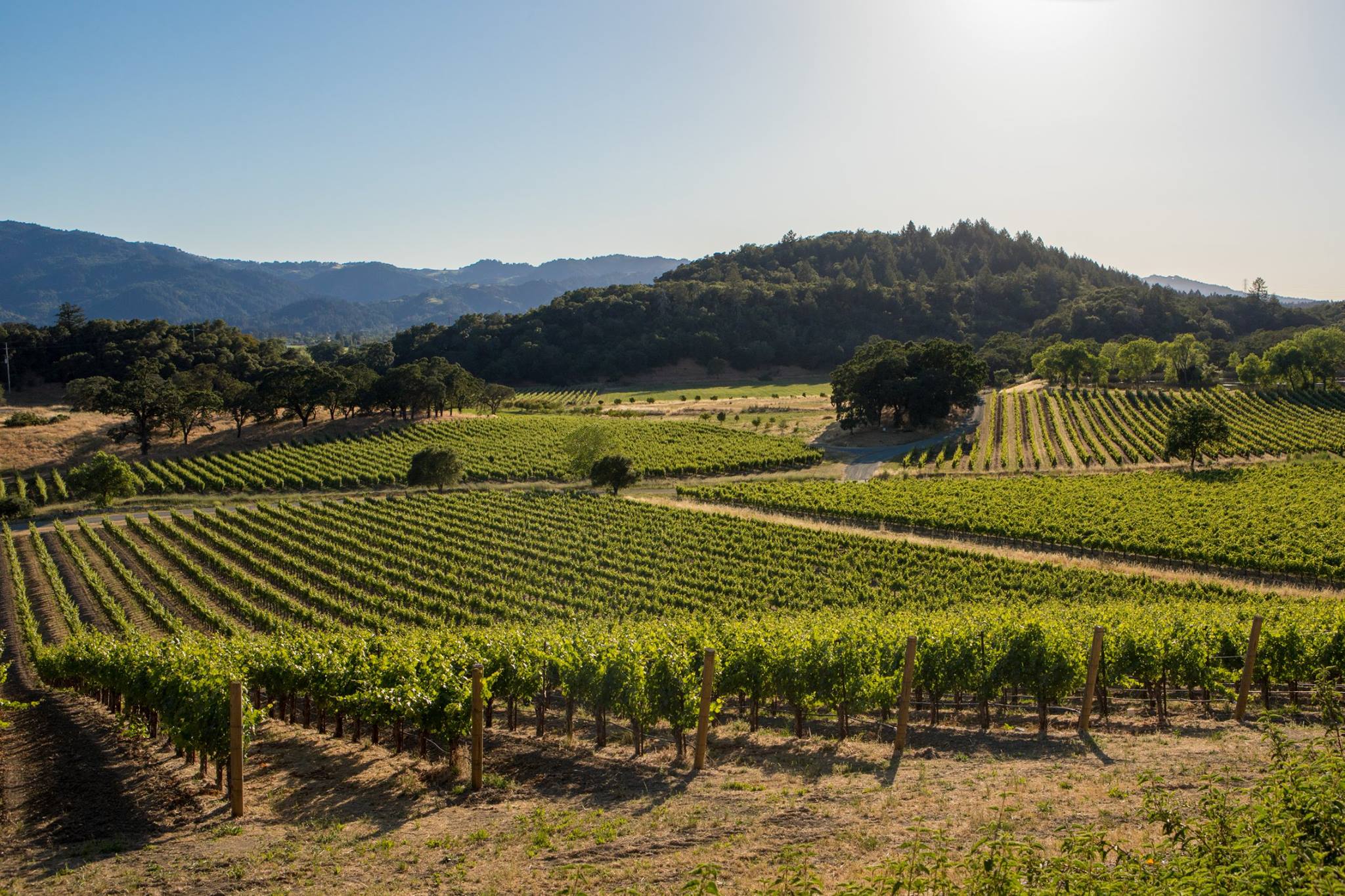 The Wine Exchange: Respecting science and community