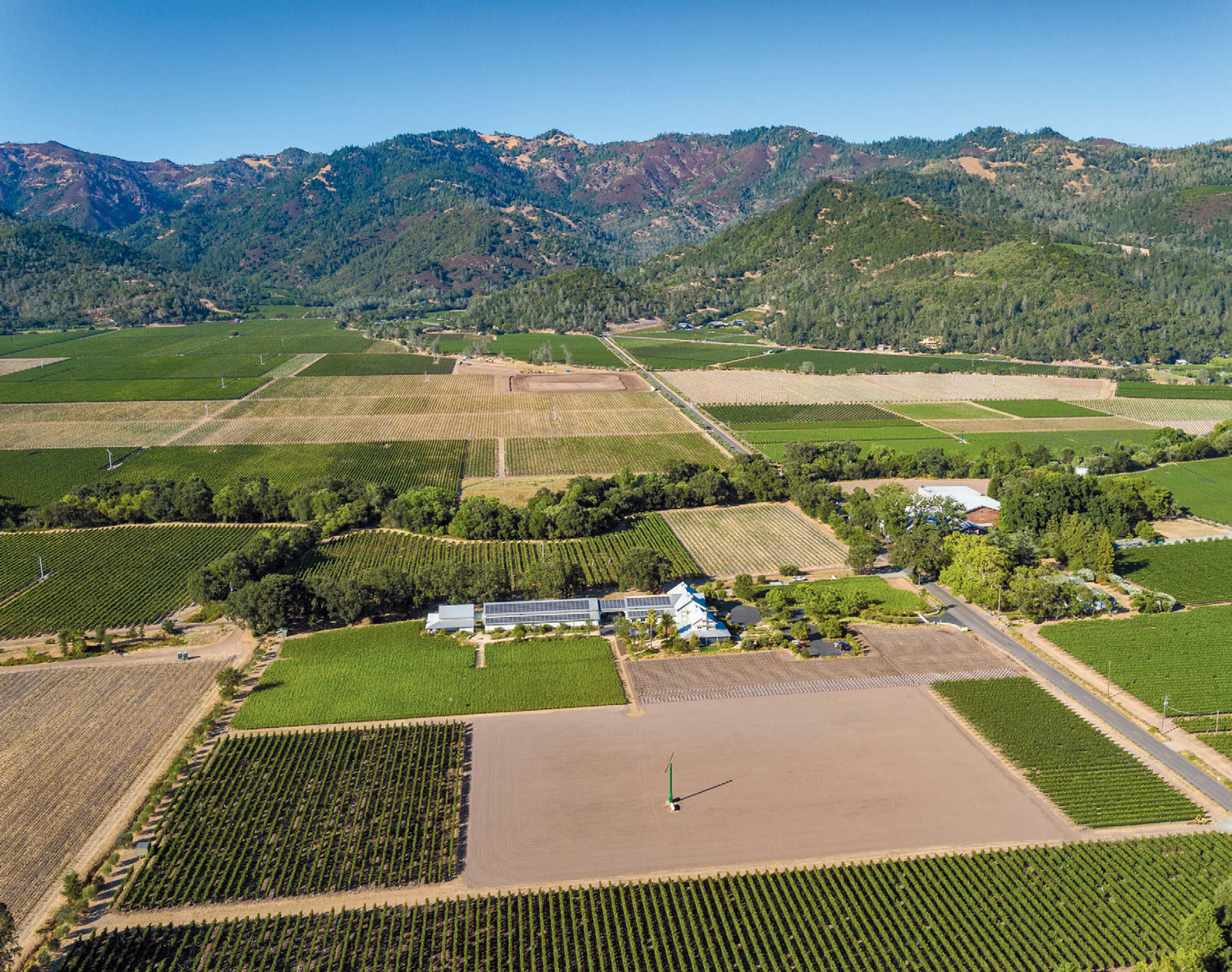 Adapting to Climate Change in Wine Country