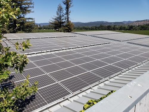 Napa Valley Winery Harvests the Sun for Sustainability & Savings