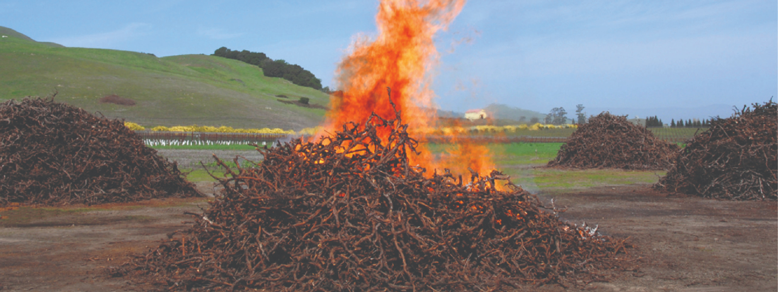 Conservation Burn & Alternatives Demonstration