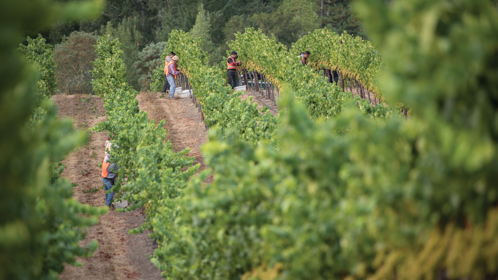 Social Equity in Practice