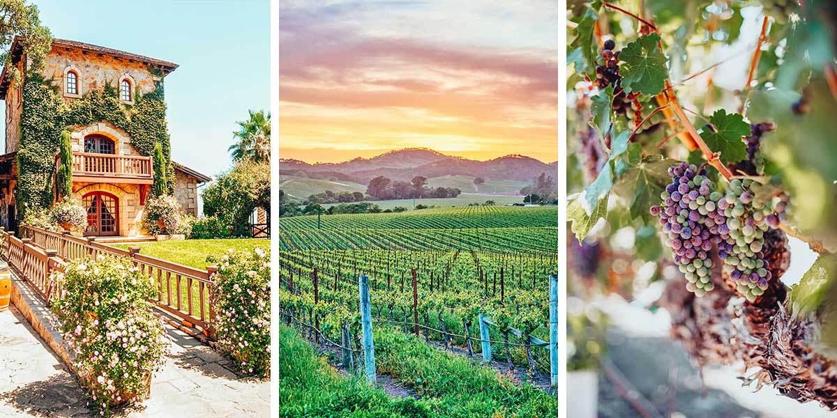36 Amazing Napa Wineries: a Sommelier’s Guide to the Best Wineries in Napa