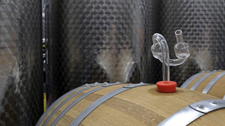 ‘Carbon Capture During Fermentation Could Make Wine a Negative-Emission Industry’