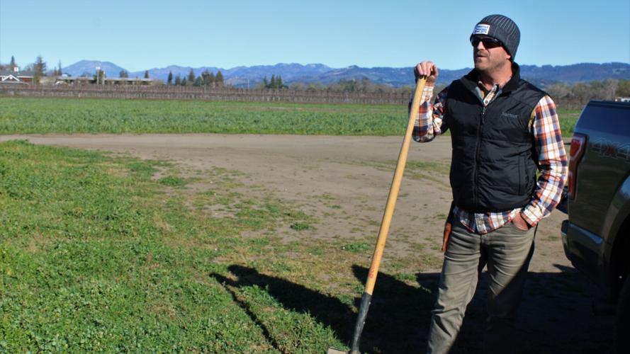 Napa Green redevelops vineyard certification, hopes to set new sustainable standards