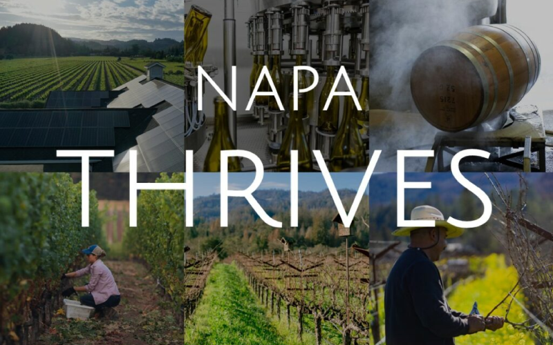 Napa Green Launches Critical Napa Thrives Sustainability and Climate Action-Oriented Event Series
