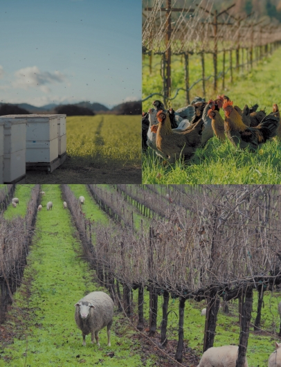 If Not Here, Then Where?