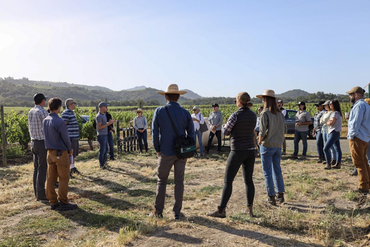 The Climate Connection: A report from Napa THRIVES