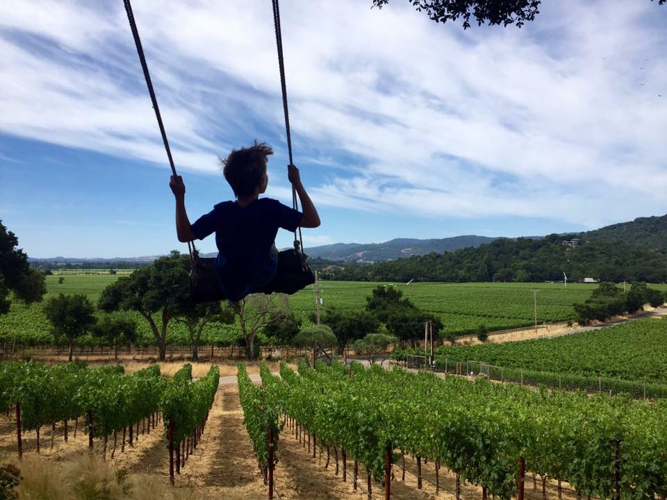 Malk Family Vineyards