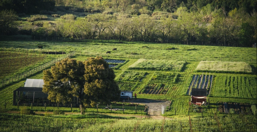 Creating Change in California’s Food and Wine Scene