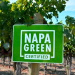 Picture of Napa Green | Champion Story