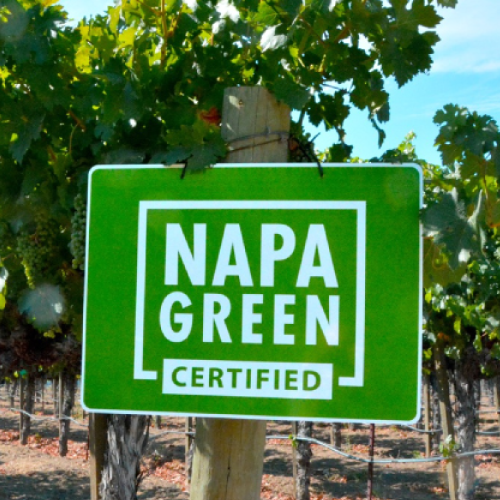 Napa Green to Phase Out Glyphosate-Based Herbicides By 2026