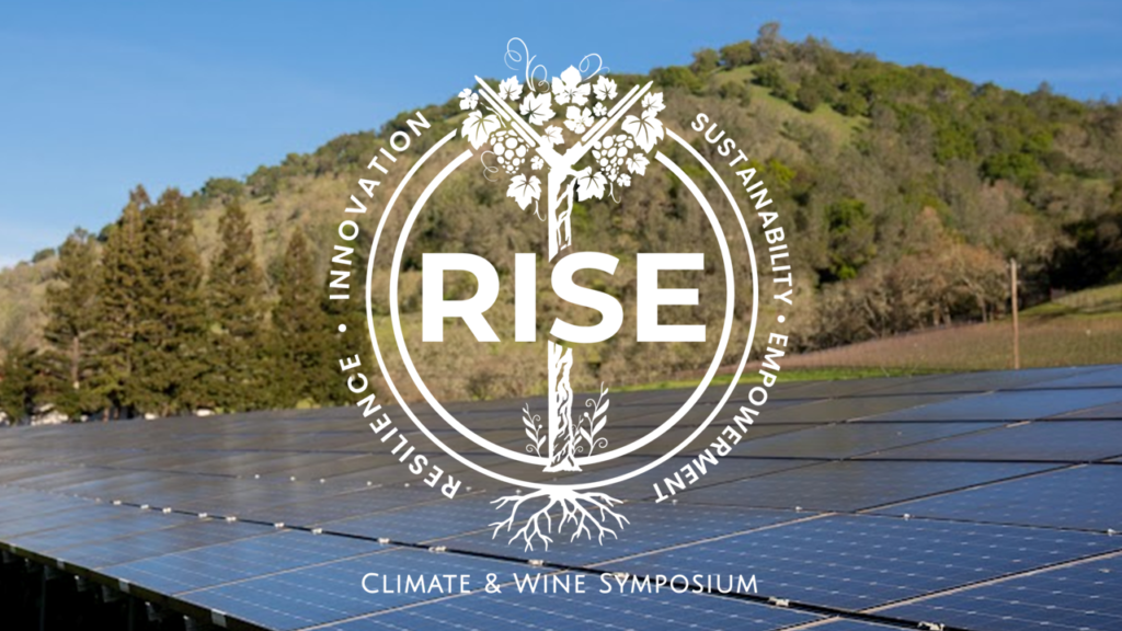 RISE 2023: Saving Energy & Energy Efficiency