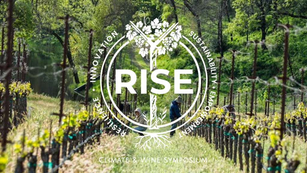 RISE 2023: Social Justice, Diversity & Inclusion