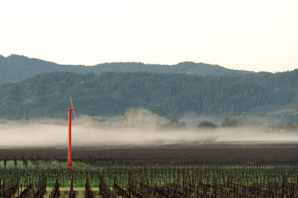 Rancho Pequeño Oakville