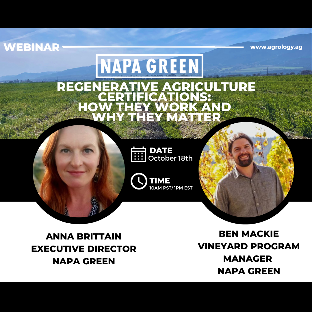 Regenerative Agriculture Certifications: How They Work and Why They Matter