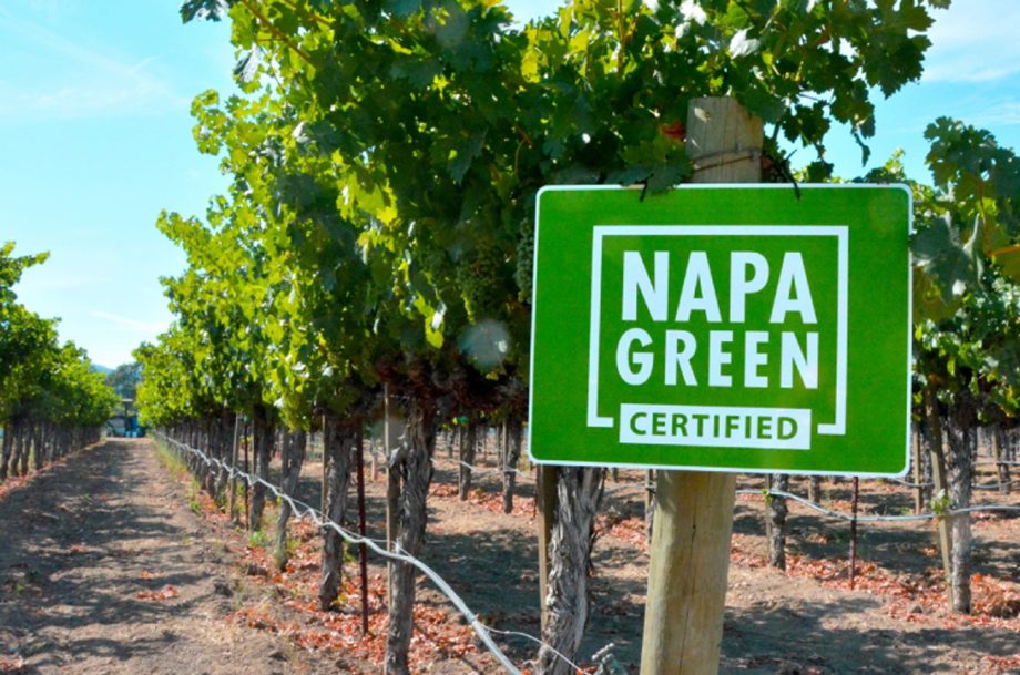 ‘Carbon farm plans’ among goals for new leader of Napa Valley’s winery, vineyard sustainability program