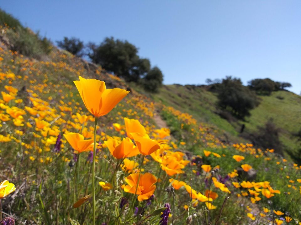 2016: LandSmart Program Recognized