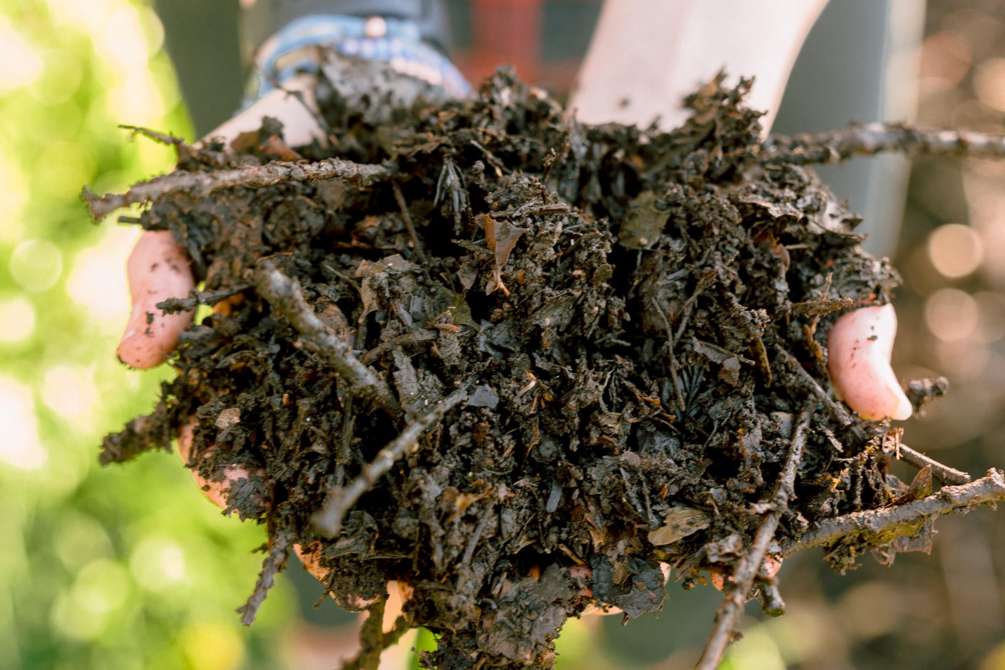 All Things Soil Sustainability