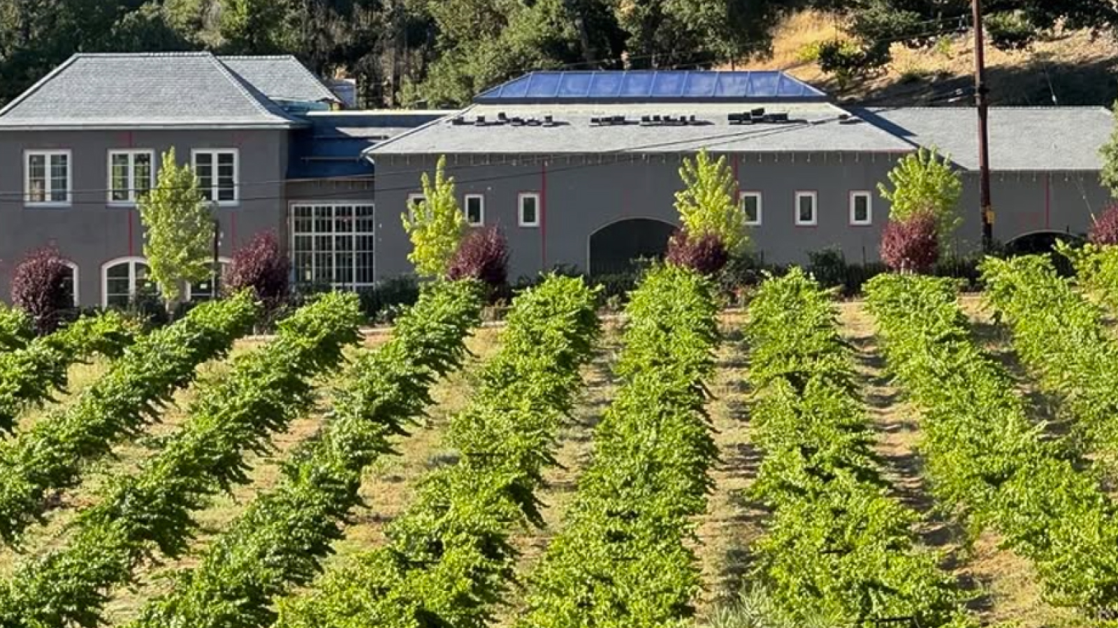 Château Boswell Winery