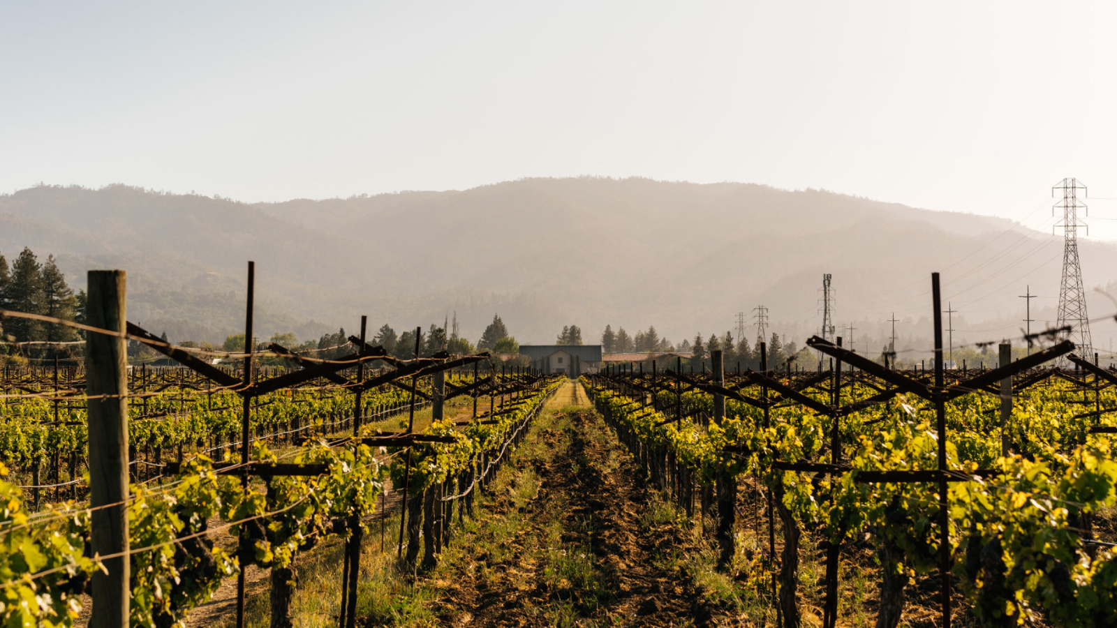 Crocker & Starr Wines