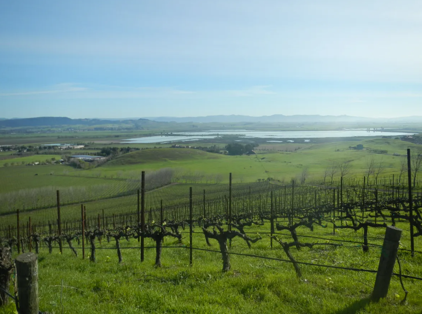 2017: Regulatory Alignment