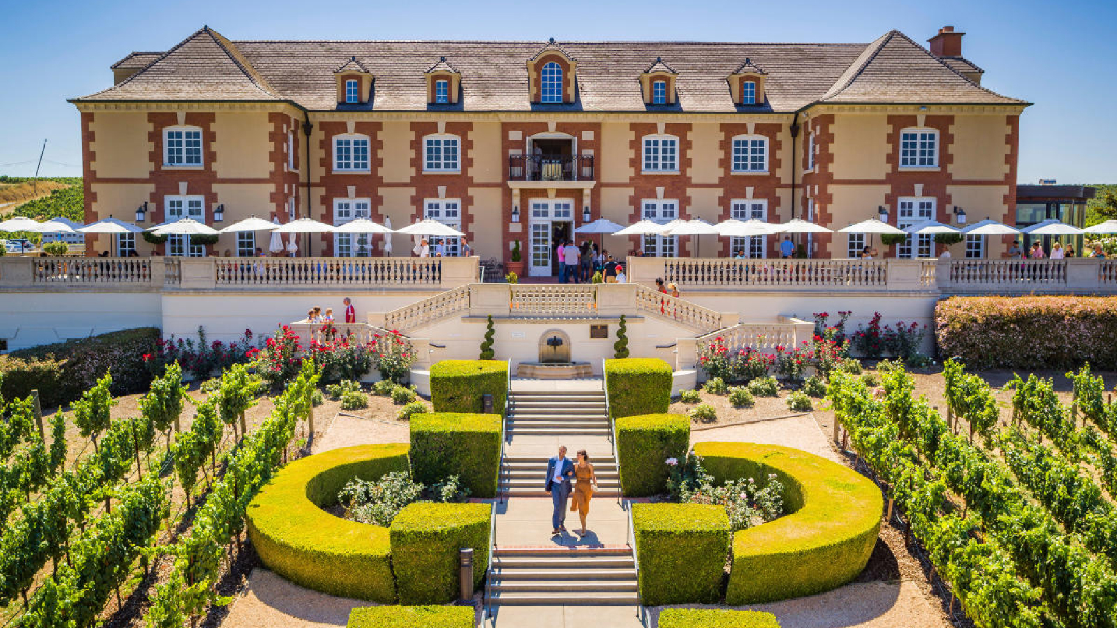 Domaine Carneros