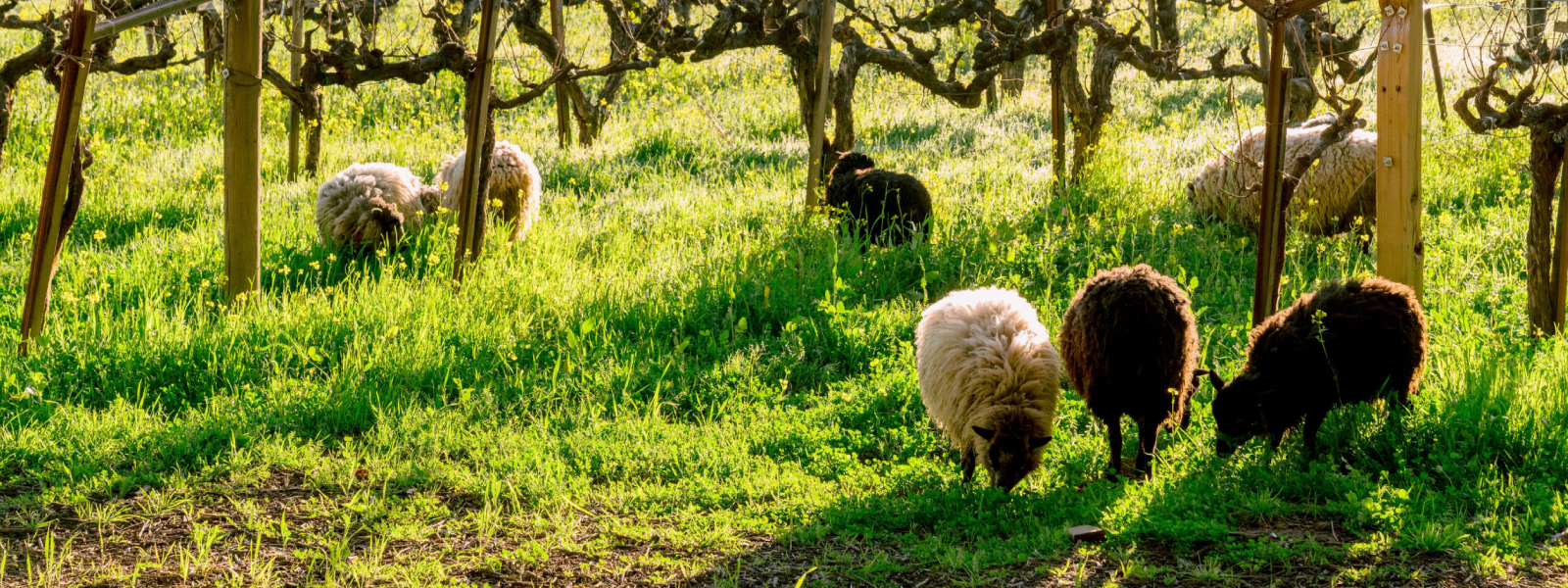 Roads Less Traveled, Female-Owned Itinerary