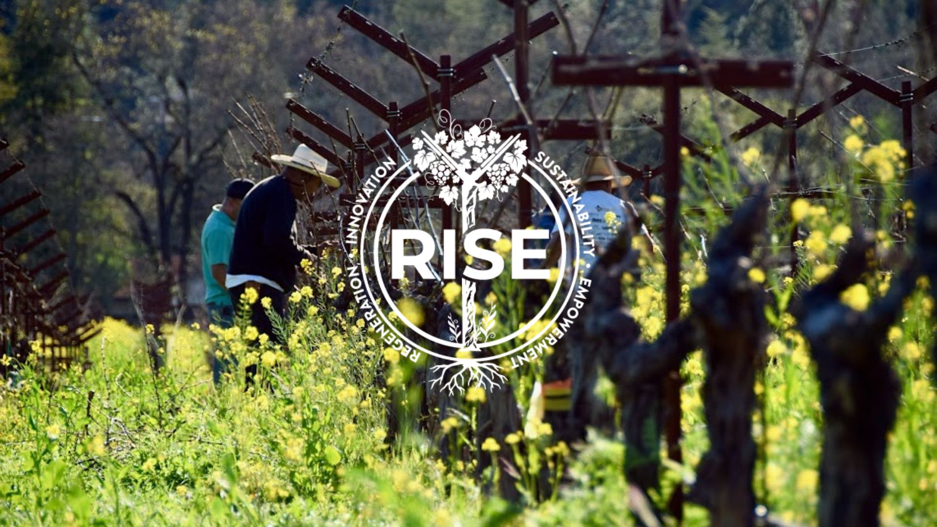 RISE 2025: Climate Action & Regenerative Agriculture