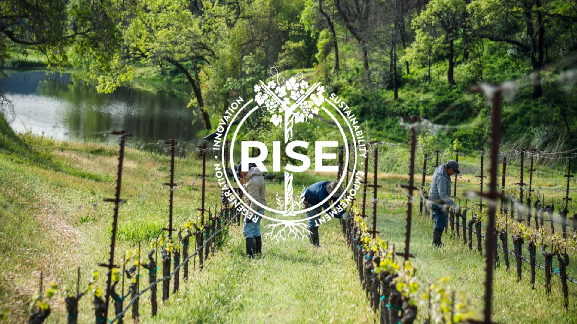 RISE 2025: Social Justice, Diversity & Inclusion