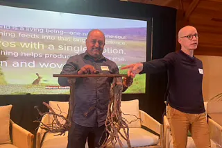 When I Say “Drying Out” I Do Not Mean Not Drinking.