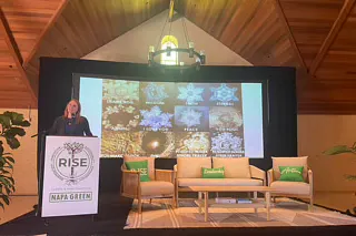 Yeah, You Can Copy My Notes.