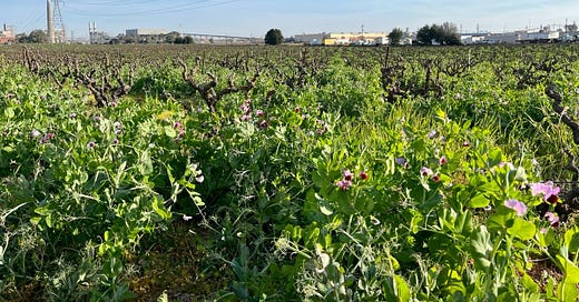 What’s Kim Kardashian’s Butt Got to Do With It?