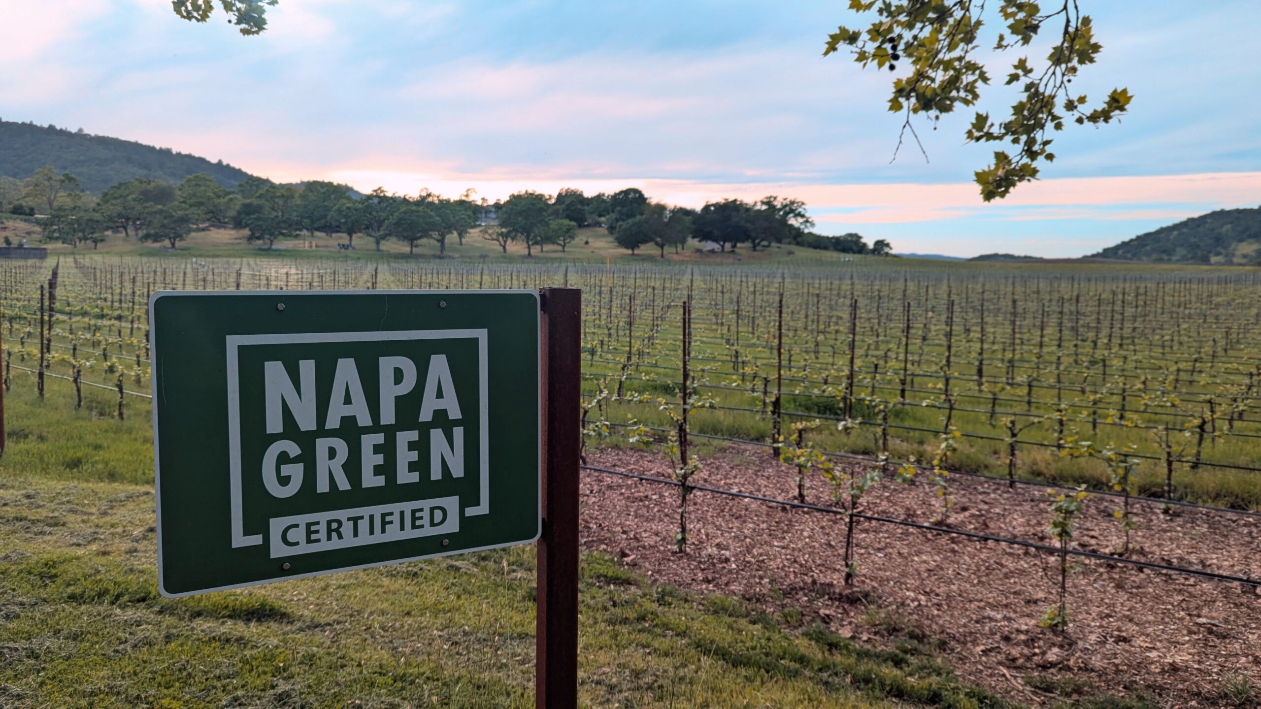 Napa Green Ambassador Training