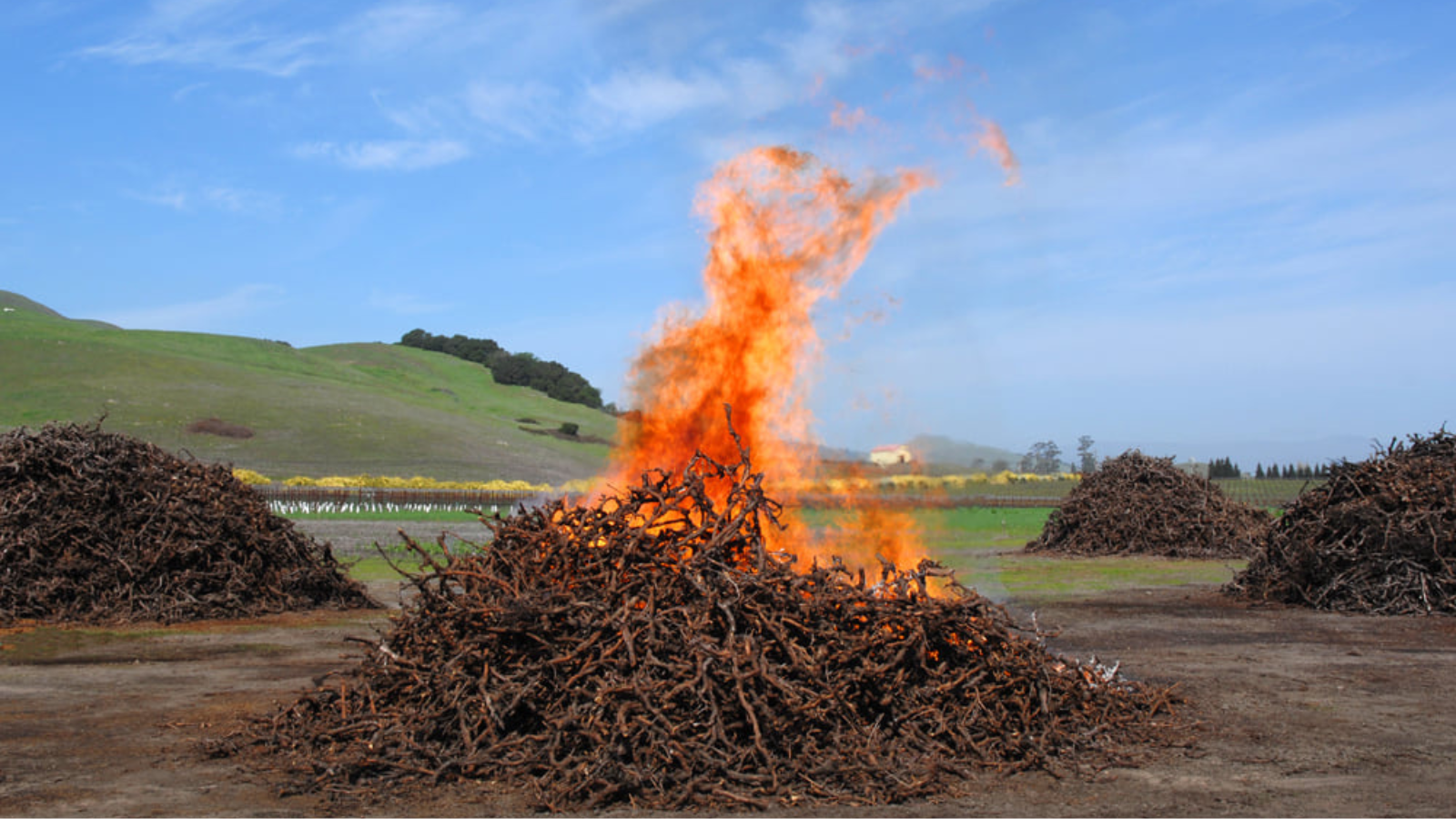 Climate-Smart Burning