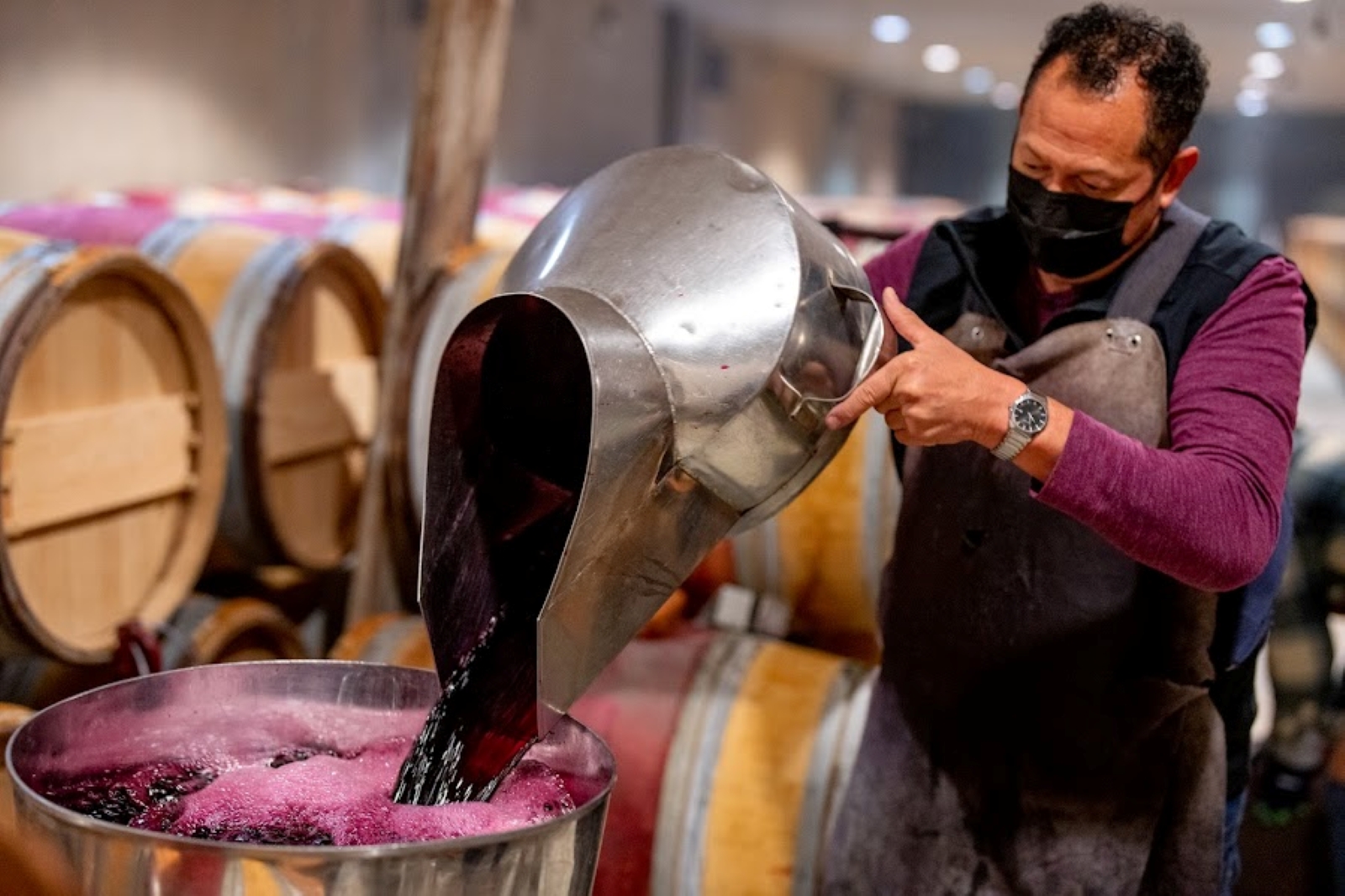 MCE Shines a Light on Savings with Dominus Estate