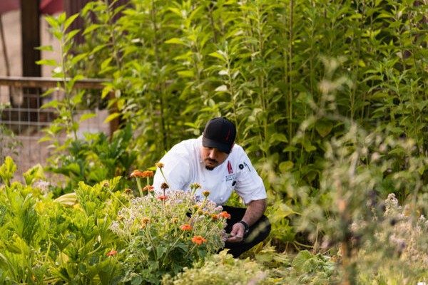 B-cellars-culinary-garden